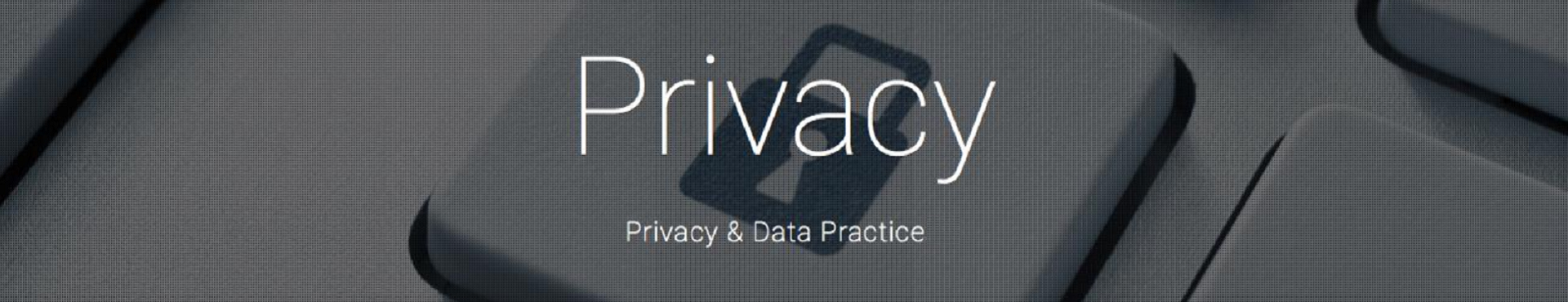 IGI-Privacy